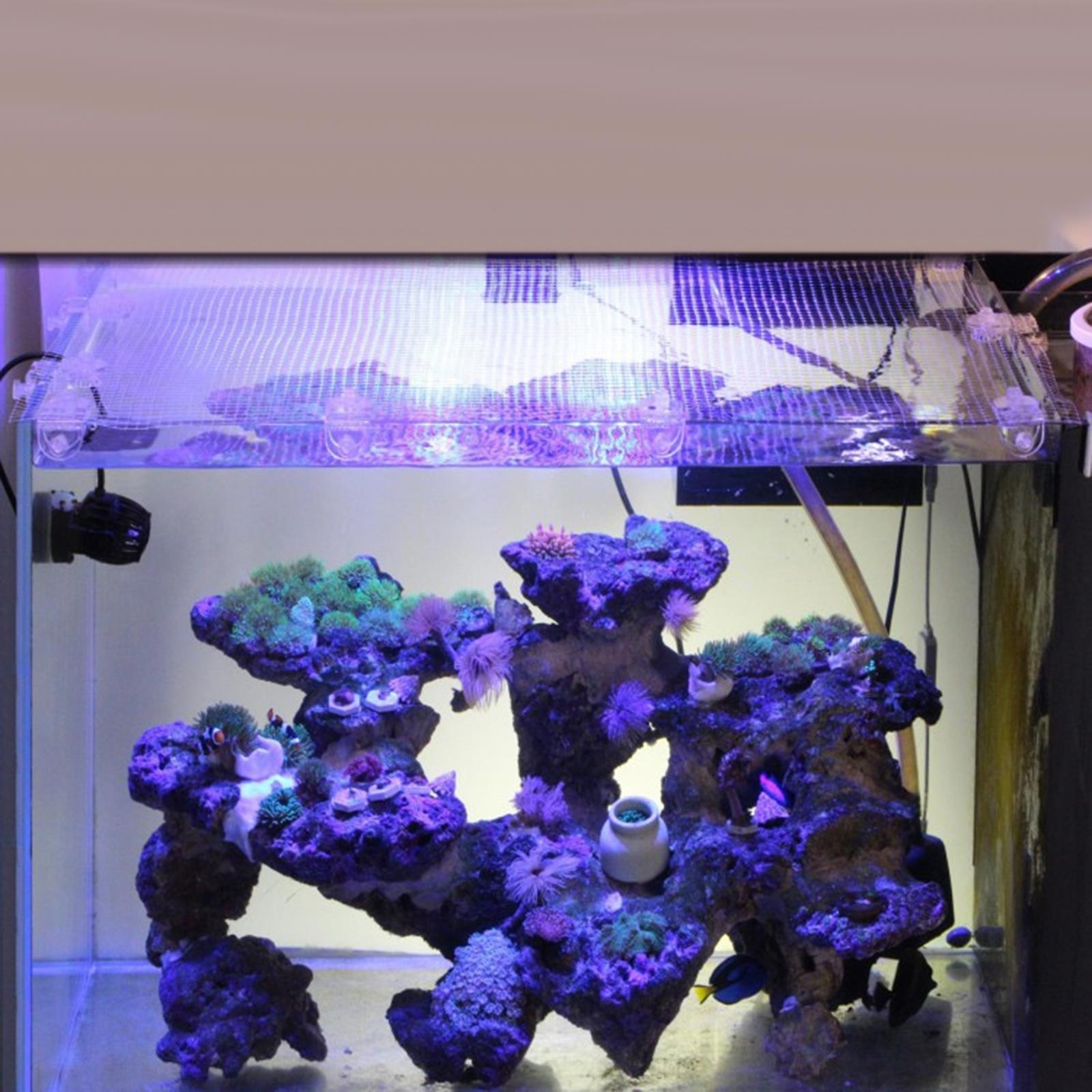 ตาข่ายอะคริลิคใสสำหรับตู้ปลา ป - Tank Divider Mesh บทวิจารณ์และราคา