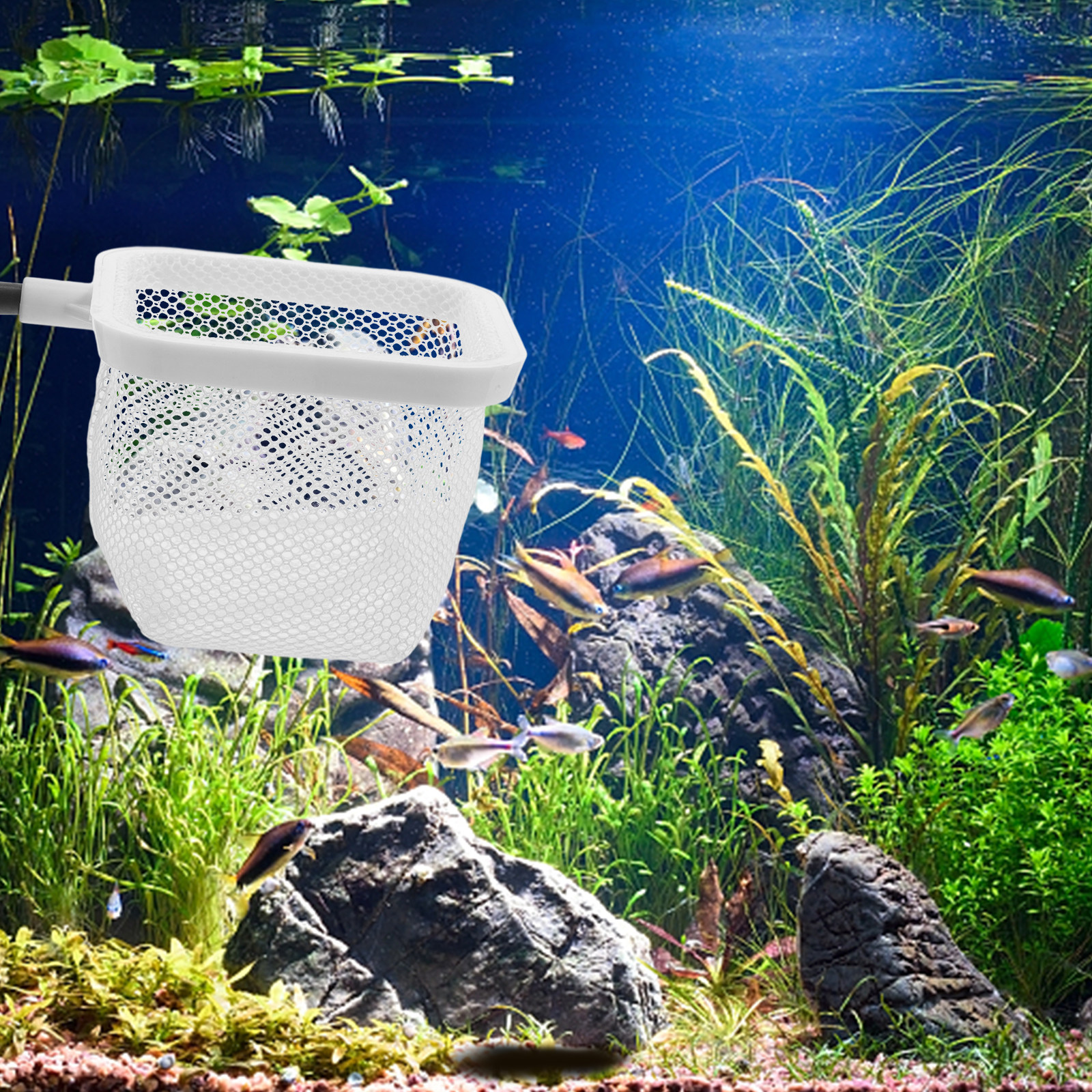 กล่องแยกปลาพร้อมถ้วยดูด ตาข่าย - Tank Divider Mesh บทวิจารณ์และราคา