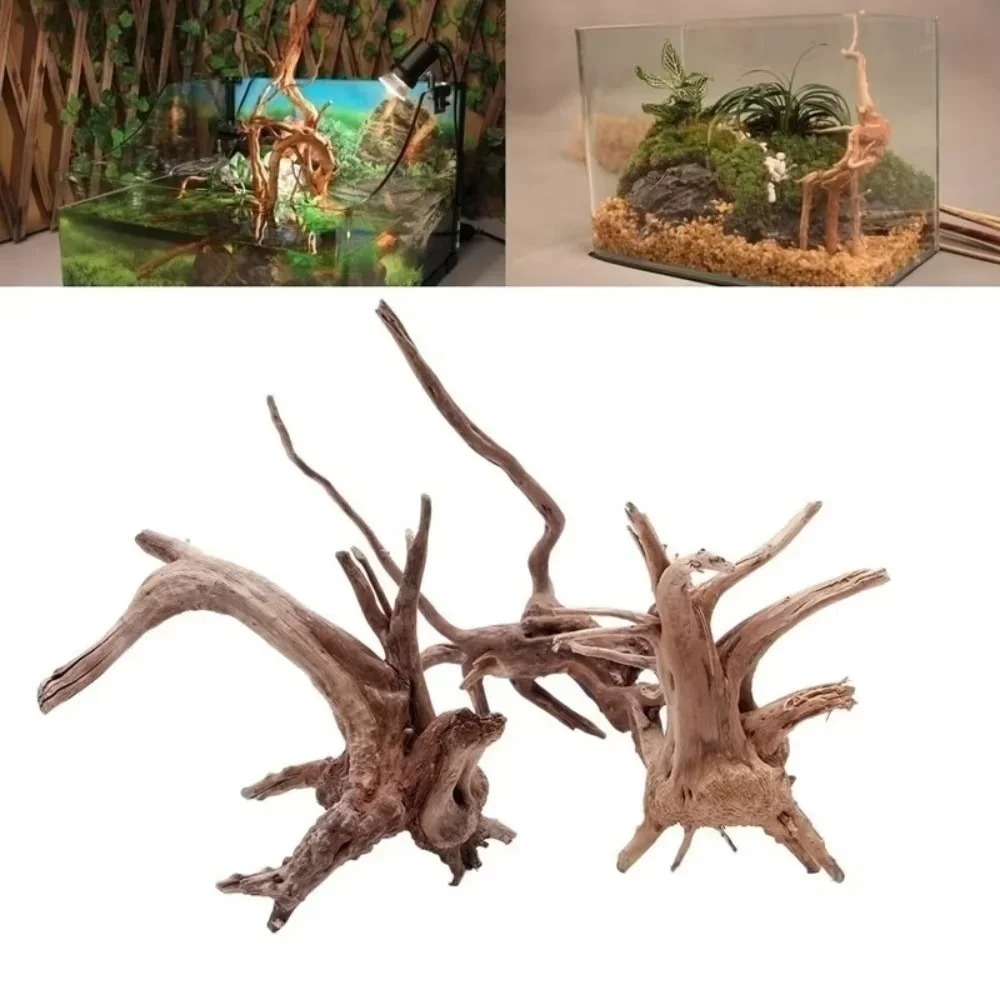 ไม้ลอยน้ำธรรมชาติขนาด 15-20 ซม - Aquarium Fish Types บทวิจารณ์และราคา