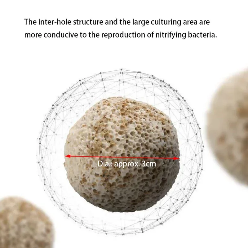 10ชิ้น20ชิ้นคุณภาพสูงลูกชีวภาพ - Aquarium Fish Ball บทวิจารณ์และราคา