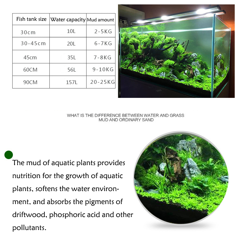 พิพิธภัณฑ์สัตว์น้ำเมล็ดพืชดิน  - Aquarium Fish Types บทวิจารณ์และราคา