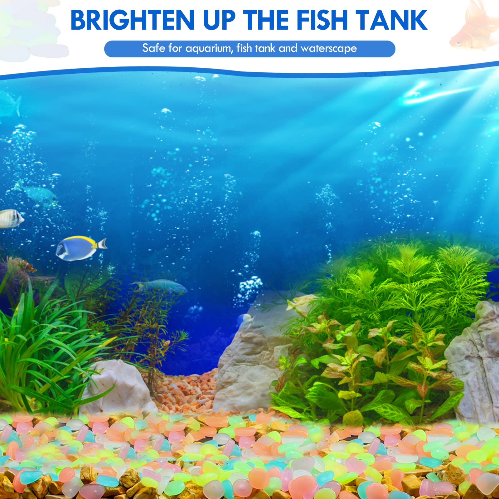 100 ชิ้น Glow in the Dark Gard - Aquarium Fish That Glow In The Dark บทวิจารณ์และราคา