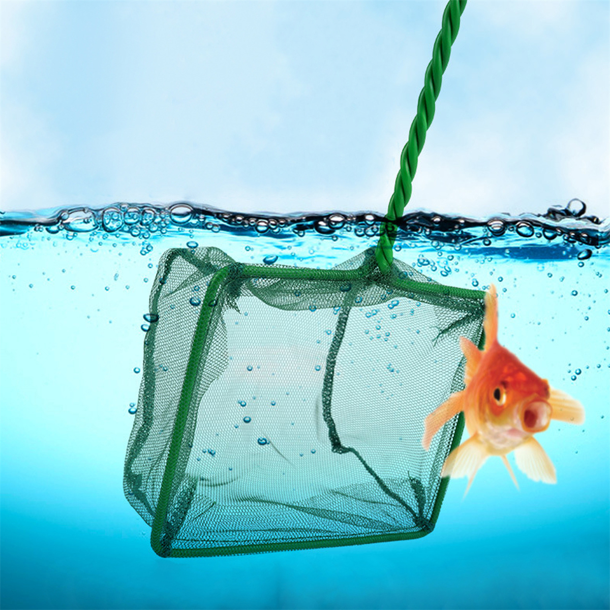3 ~ 10 นิ้วแบบพกพาไนลอนสีเขียว - Aquarium Fish Maintenance บทวิจารณ์และราคา