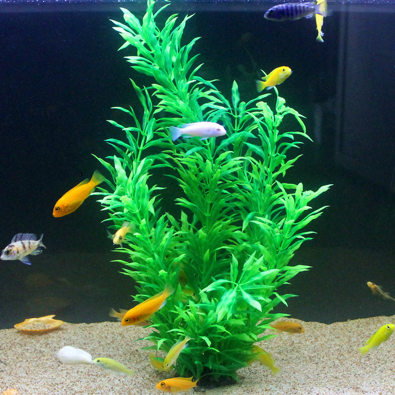 50 ซม.ถังปลาประดิษฐ์พืชหายากAq - Aquarium Fish Types บทวิจารณ์และราคา