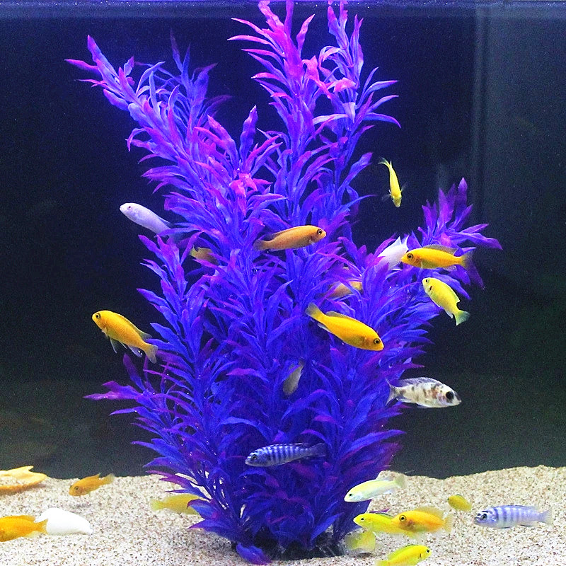 50 ซม.ถังปลาประดิษฐ์พืชหายากAq - Aquarium Fish Types บทวิจารณ์และราคา