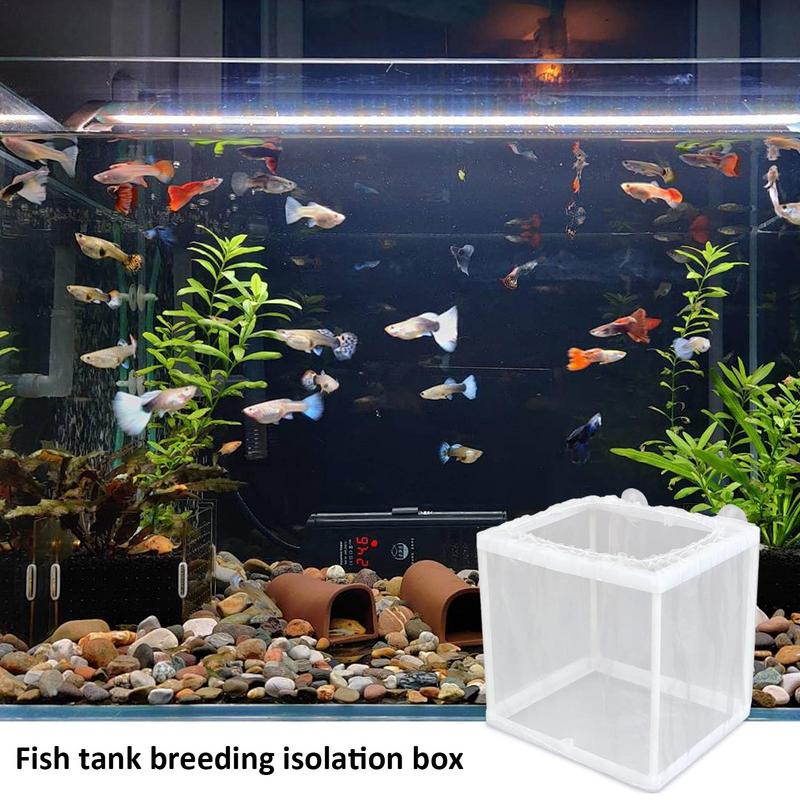 Fish Breeder กล่องดูด,Aquarium - Aquarium Fish For Sale บทวิจารณ์และราคา