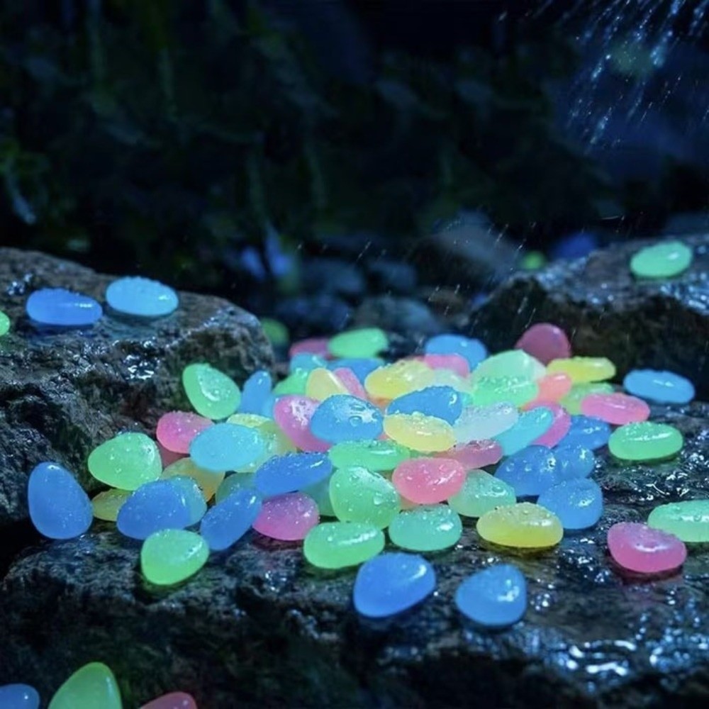 หินเรซิ่นเรืองแสงในที่มืด หินห - Aquarium Fish That Glow In The Dark บทวิจารณ์และราคา