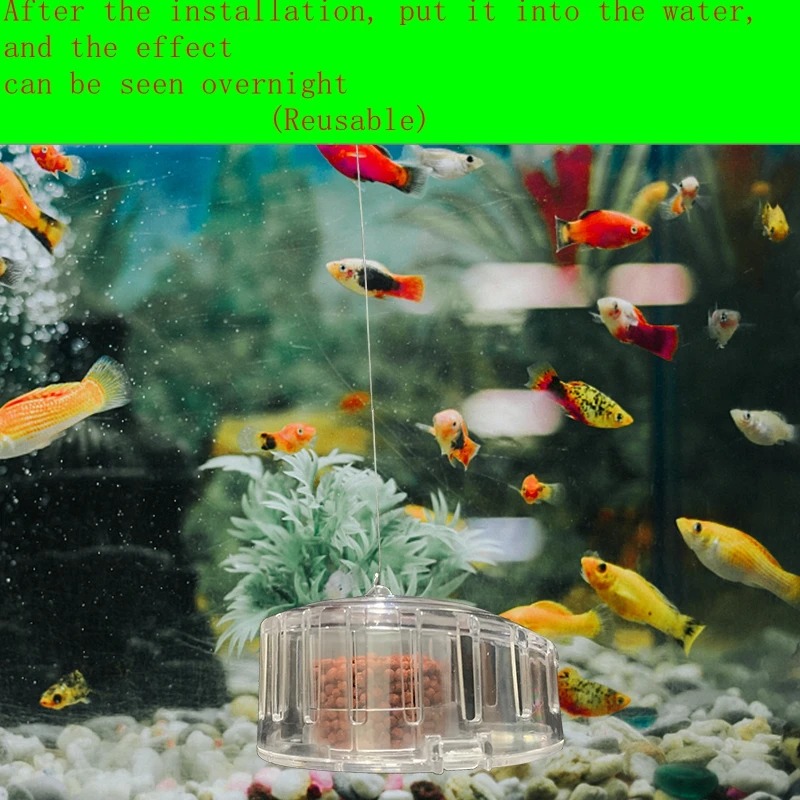 อุปกรณ์สำหรับตู้ปลาเครื่องมือส - Aquarium Fish Diseases บทวิจารณ์และราคา