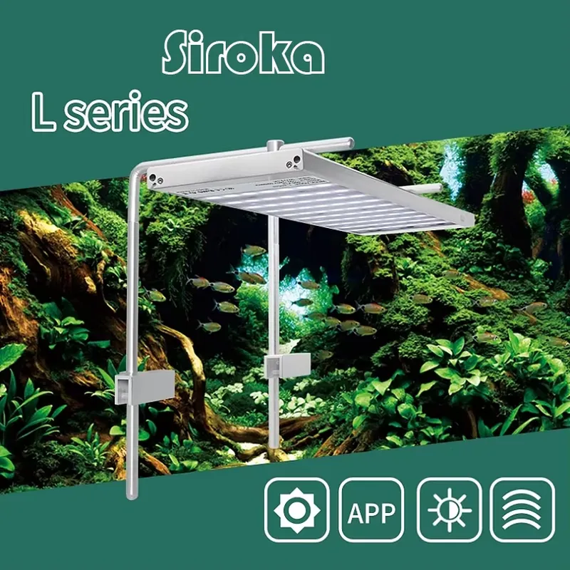 ไฟ LED สำหรับตู้ปลาแบบหนีบ กำล - Aquarium Fish For Sale บทวิจารณ์และราคา