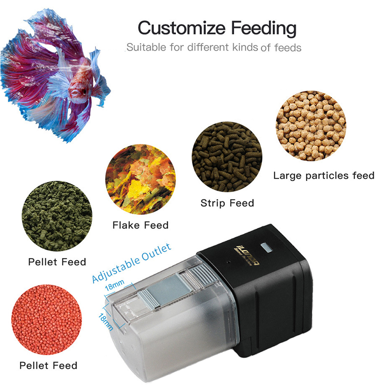 สมาร์ท WiFi Fish Feeder รีโมทค - Aquarium Fish Feeder Automatic บทวิจารณ์และราคา