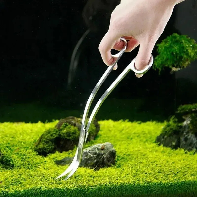 กรรไกรตู้ปลา, เครื่องมือทําควา - Aquarium Fish Maintenance บทวิจารณ์และราคา