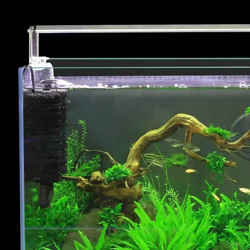 3-IN-1 คลิปบนไฟฟ้าฟองน้ํากรอง  - Aquarium Fish Ball บทวิจารณ์และราคา