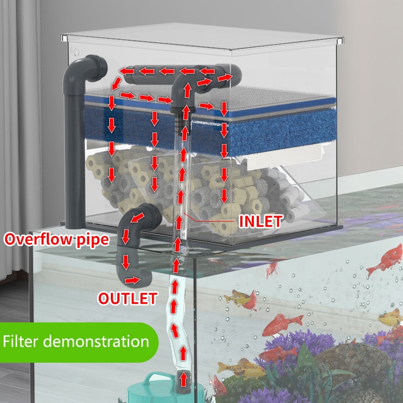 ขายตรงจากโรงงาน ตู้ปลาพร้อมกรอ - Aquarium Fish For Sale บทวิจารณ์และราคา